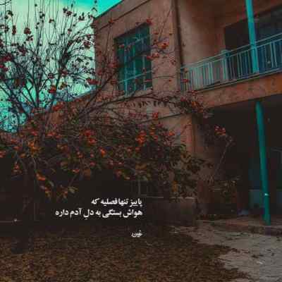آهنگ الکی الکی سیگاری شدم شایع + دانلود 320