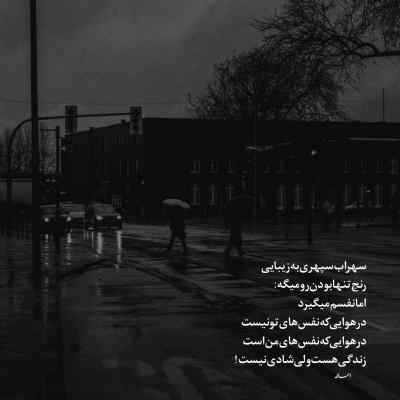 آهنگ الانم دلم تنگه خواهشا تو این شهر غریب یه سرم به ما بزن