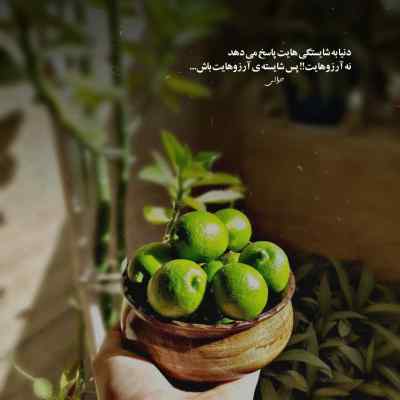 آهنگ دارم میرم از این شهر یواش یواش علیرضا ریاضی + دانلود