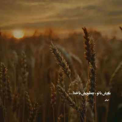 آهنگ ﺣﺎﻟﺎ داره دﻧﺒﺎﻟﻢ ﻣﻴﮕﺮده “دیانو” دانلود با کیفیت 320