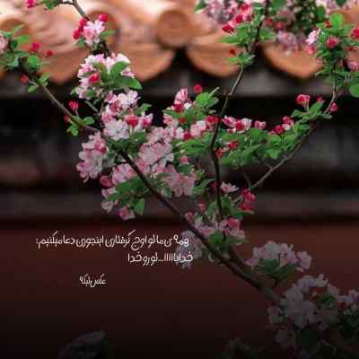 آهنگ شدی با من غریبه ریمیکس