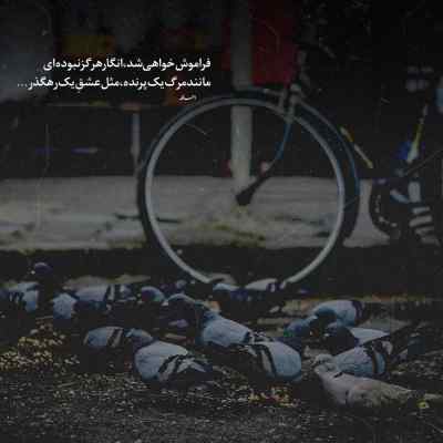آهنگ دلتو زدم دل بریدی از من مرتضی پاشایی ریمیکس