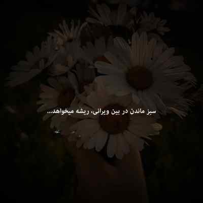 آهنگ اولای رابطه چقد خوب بودی ابوالفضل وظیفه + دانلود 320