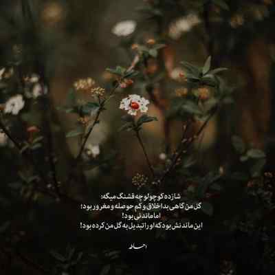 آهنگ امشب شب ما دوتاست حال چشاتو عشقه هوش مصنوعی دانلود