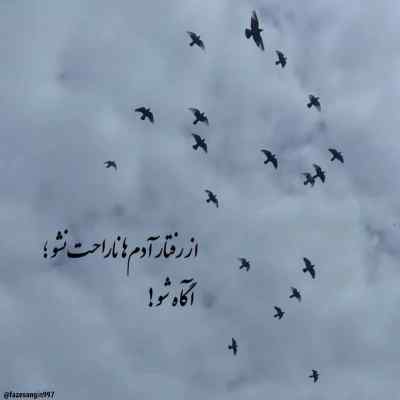آهنگ امشو و یادت دواره دلم تنگه بیقراره روح الله کرمی + دانلود 320