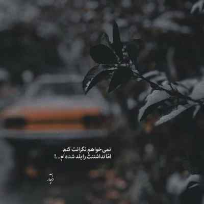 آهنگ فن پیگیرم اوری دی بسکت میرم ان بی ای + دانلود 320