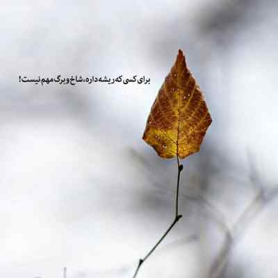 آهنگ این همه آدم چرا قلبمو باید به تو میدادم با صدای دختر + دانلود