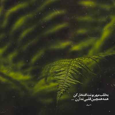 آهنگ رو بدن تو دستام میره این ساعت نره ای کاش دیگه پوبون