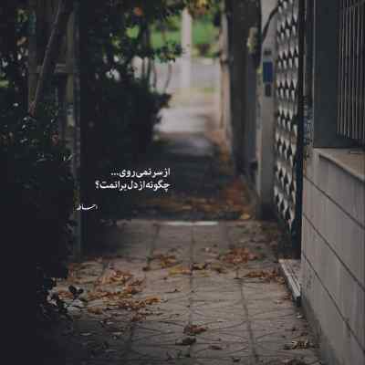 آهنگ ای خدا کورم بگو من مال نگردم لری + دانلود 320
