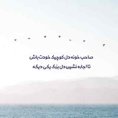 آهنگ من میرم پیشی میشم تو میری هاپو میشی + دانلود