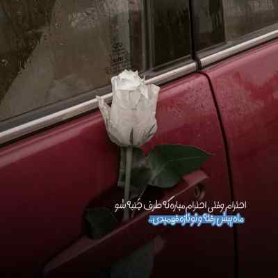 آهنگ شقایق نبودی به پات جون بذارم تو نازم نبودی گیتار اینستا + دانلود