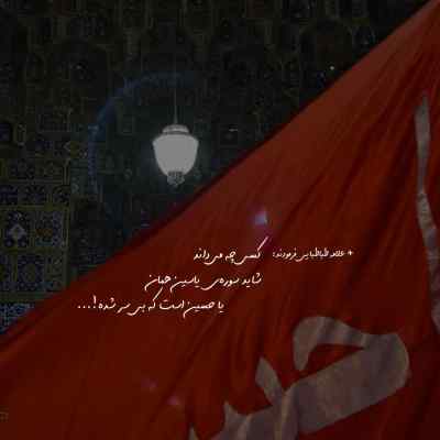 مداحی دلتنگ حرم هستم حسین ولی دل به علم بستم حسین 320