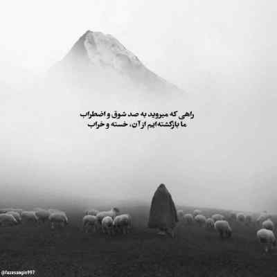 آهنگ مثل اون گشتم نگرد نیست تهی + دانلود کیفیت 320