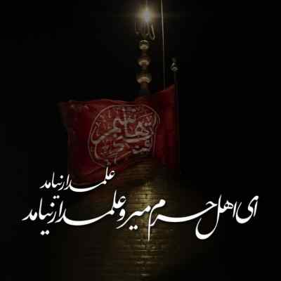 مداحی دل شده حرم لازم پیام کیانی + دانلود کیفیت 320