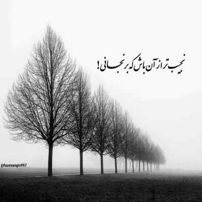 آهنگ خانواده ام شاه شمالن مثل استارکا هیپهاپولوژیست