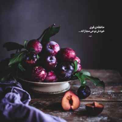 دانلود آهنگ امیر عظیمی مثل پرنده ها شدم که نمیخوان ابرا رو