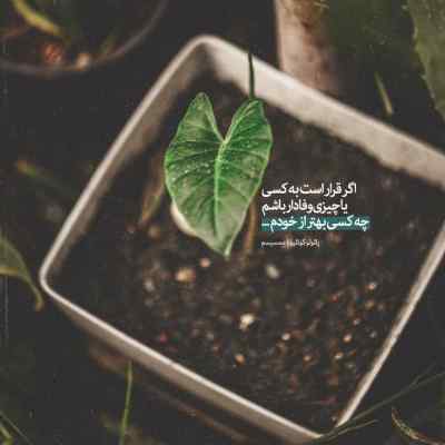 آهنگ رفتم چشامو بستم روت با صدای بچه + دانلود کیفیت 320