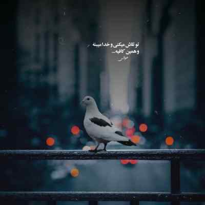 آهنگ سلام علیکم چادره سیاه چته از مه بدت میاد کردی دانلود 320