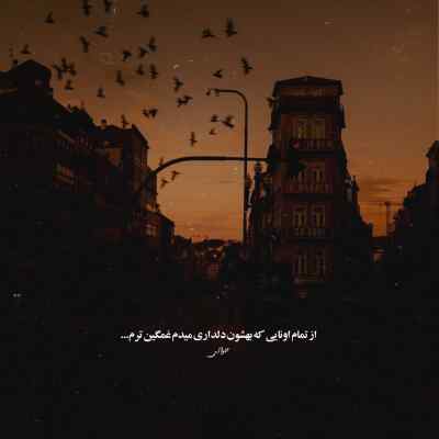آهنگ سر بوم بای تو کفتر میپرانی لیلی افغانی + دانلود کیفیت 320