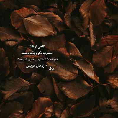 آهنگ یه امشو بهلوم امشو دل دل ای دل + دانلود لری