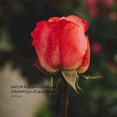 دانلود آهنگ راغب صمیمی ترین رفیق