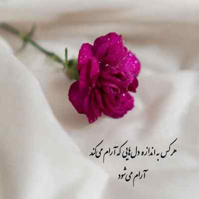آهنگ چقدر حالمون بده انگار آفت به باغمون زده پوری + دانلود