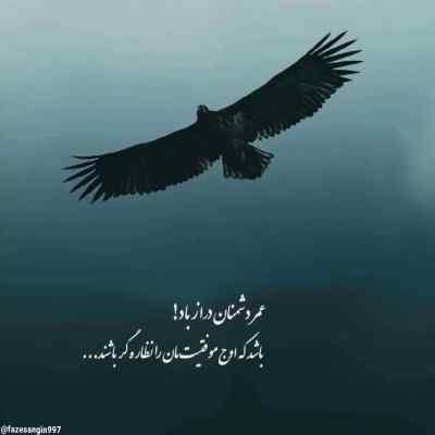 آهنگ ژلوفن از علی احمدیانی و مهراب + دانلود کیفیت 320