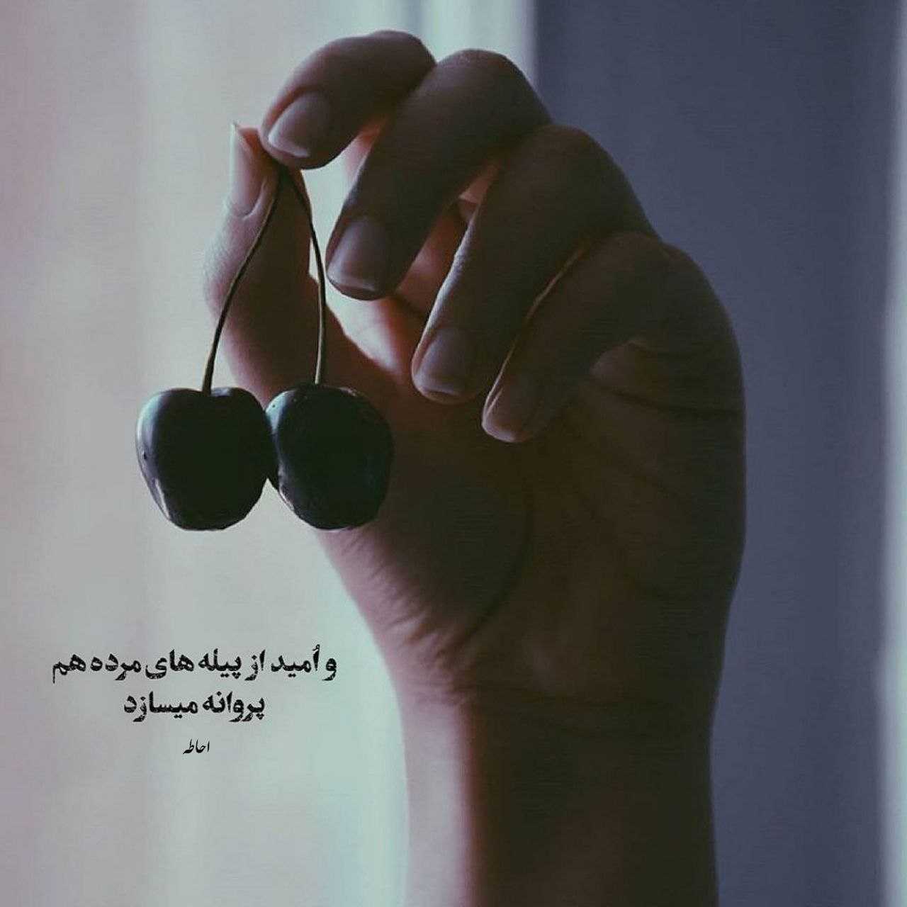 بهزاد لیتو اسپایسی