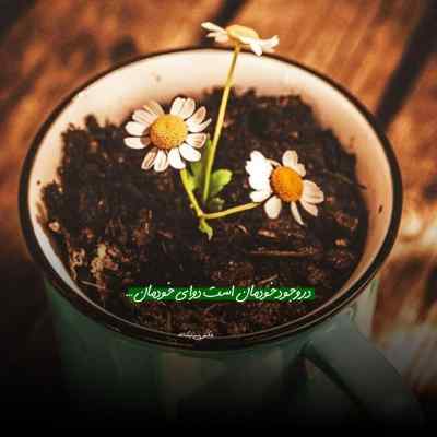 آهنگ اگه به من باشه ستاره های آسمونو براش محسن ابراهیم زاده + دانلود
