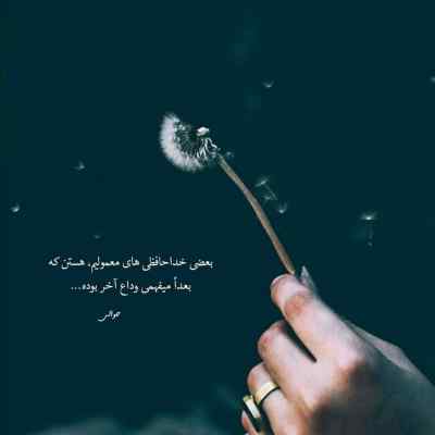 آهنگ اگه تو از پیشم بری شمعدونیا دق میکنن سامان + دانلود