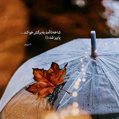 آهنگ بازم دلم گرفته شب تولدم شد سارا یوسفی + دانلود