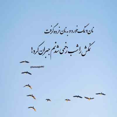 آهنگ میدم انگشتت کنن همستر پیشرو + دانلود کیفیت 320