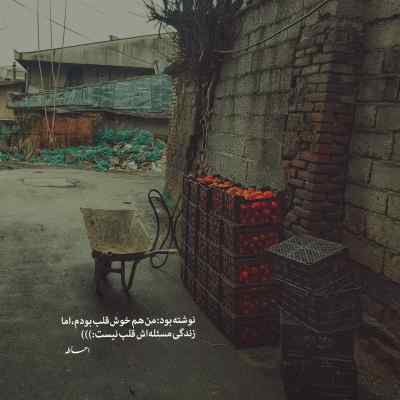 آهنگ بیب ددی چه گیره همش به فکر دنسه + دانلود