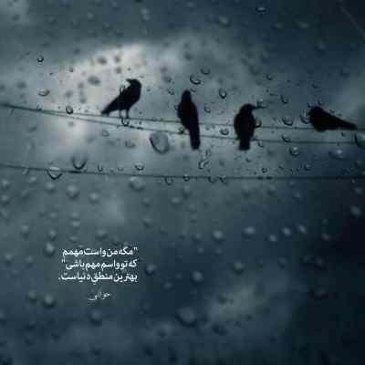 دانلود آهنگ کلاغ دم سیاه قار قارو سر کن مسلم فتاحی + دانلود