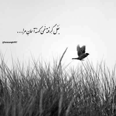 آهنگ امشب تموم عاشقا با ما میخونن یک صدا