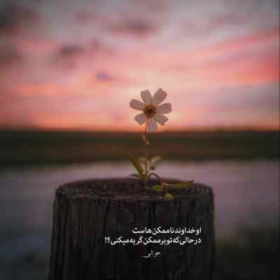 آهنگ ﻫﻤﻴﻦ ﻛﻪ ﻋﺎﺷﻘﺖ ﺷﺪم ﺗﻮ ﻫﻰ ﺑﺎﻫﺎم ﺑﺪﺗﺮ ﺷﺪی علی احمدیانی + دانلود