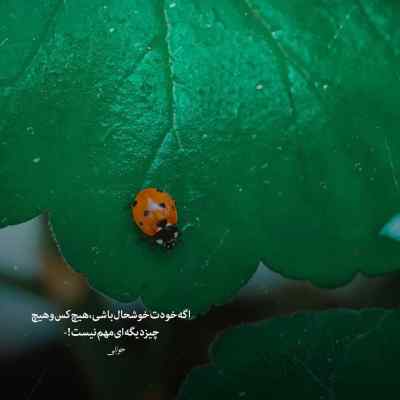 آهنگ این خانه قشنگ است ولی خانه من نیست + دانلود