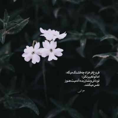 آهنگ این خانه قشنگ است ولی خانه من نیست + دانلود