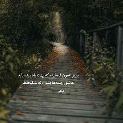 آهنگ خستم مثل یه قایق شکستم محمد علیزاده + دانلود