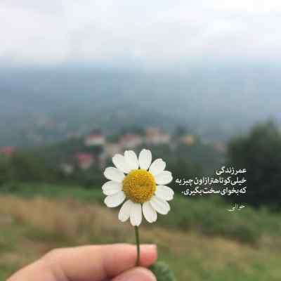 آهنگ مثل هر رابطه ای نه سیاه بود نه سفید + دانلود کیفیت 320