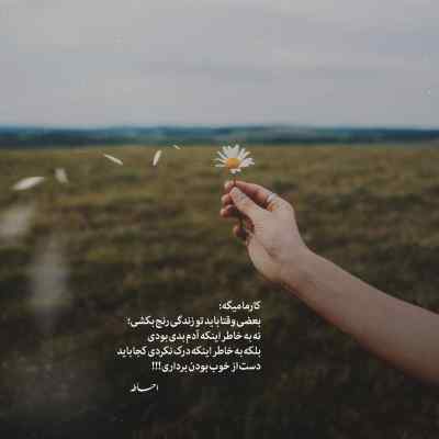 آهنگ تا زندیو این زندگیو نشد هیچوقت الان نه این زندگیو دورچی