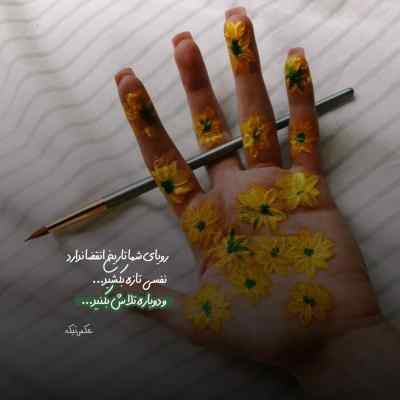 آهنگ گل ایوون بهاره دل من با صدای مرد با گیتار + دانلود