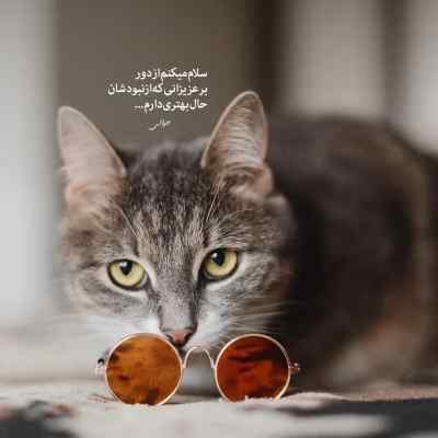 آهنگ خواهر کوچیکتونه بیبی نخیر مامانمه میراث + دانلود 320