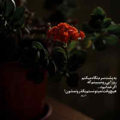 آهنگ عاقبت نارفیق یه فاجعست که سهم ما نیست هیدن + دانلود