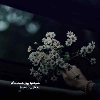 آهنگ گفتی دوسم داری حق با تو بود آره سینا پارسیان شادمهر + دانلود