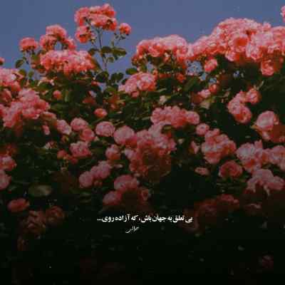 آهنگ برای دیدن تو بیقرارم تا بیام از سفر معین + دانلود کیفیت 320