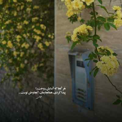 آهنگ هنوز تو لیگ دسته اول هنوز جام صدر جدول + دانلود
