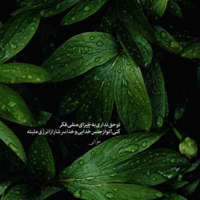 آهنگ رﻓﻴﻖ ﺑﻰ ﻣﺮام ﻣﻦ ﻋﺰﻳﺰ ﻧﻴﻤﻪ راه ﻣﻦ علی احمدیانی + دانلود