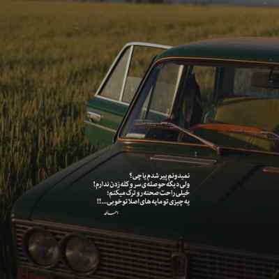 آهنگ دلم که میدونی باهاته تو بگی بله حله سروش هامون + دانلود
