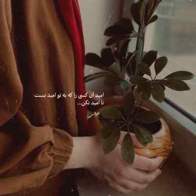 آهنگ از تو یه دونست دوتا نیست کسی مثل تو زیبا نیست محمد علیزاده